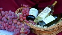 Villa Regina celebra a la producción vitivinícola