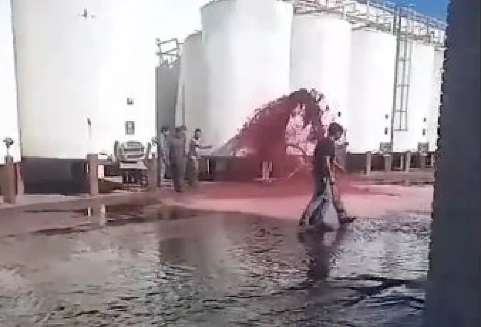 Mendoza: por un insólito error en una bodega, se perdieron 15.000 litros de vino