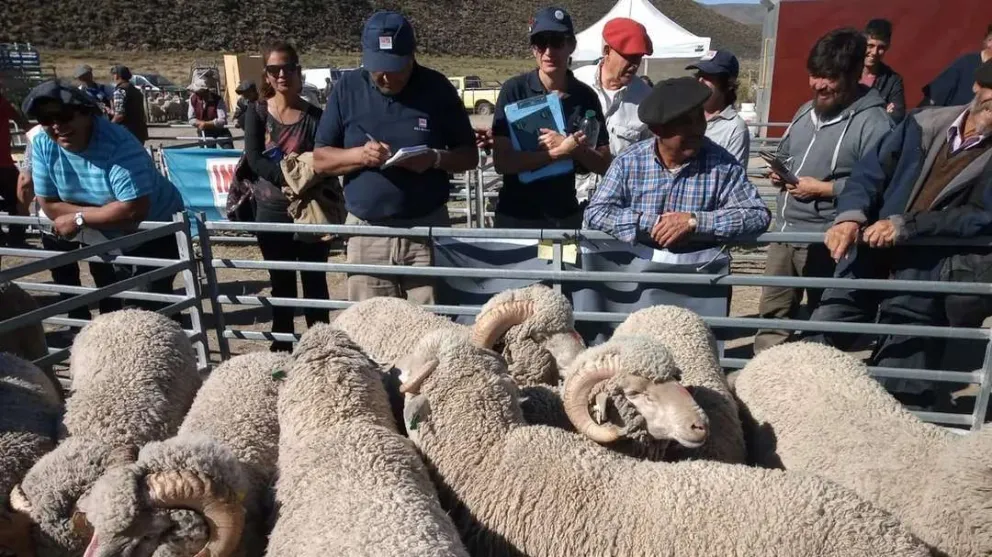 Comallo será escenario de la séptima Feria de Reproductores