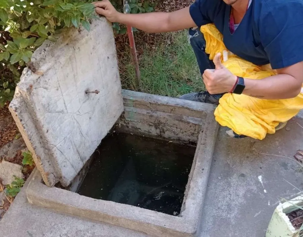 Dengue: ¿Qué es el control de foco que realiza Salud?