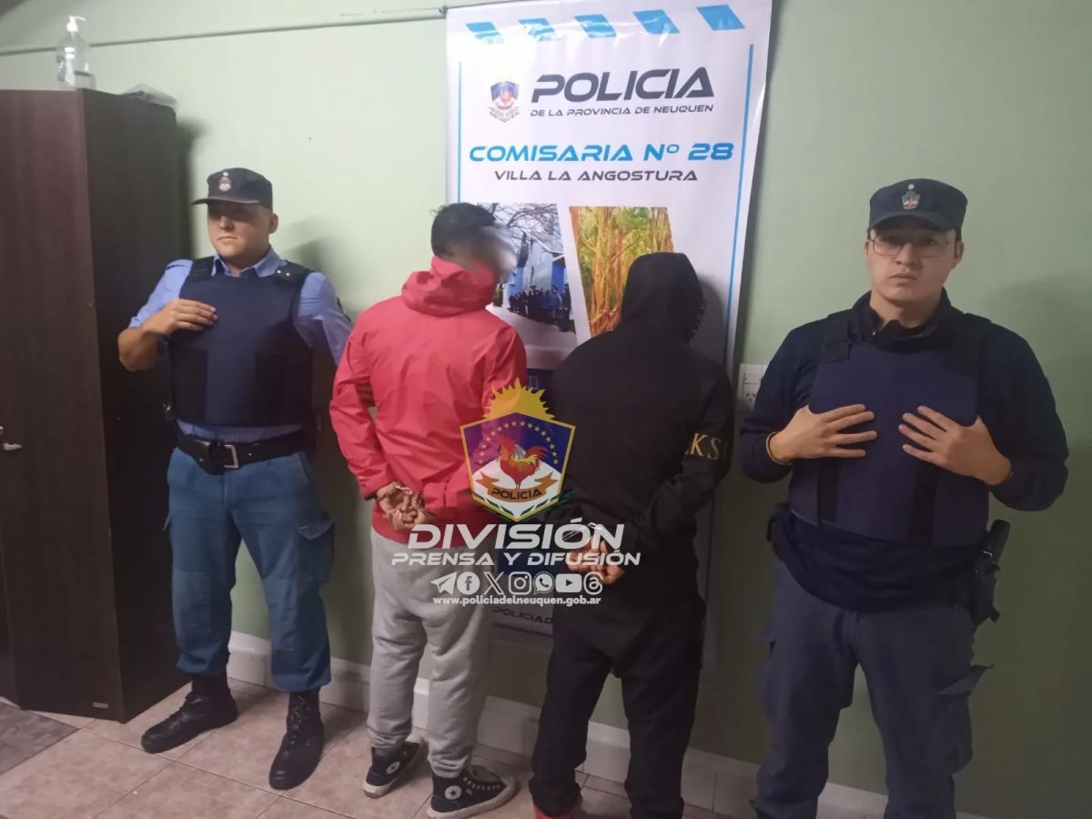 Dos ciudadanos chilenos fueron detenidos por robar pertenencias de vehículos