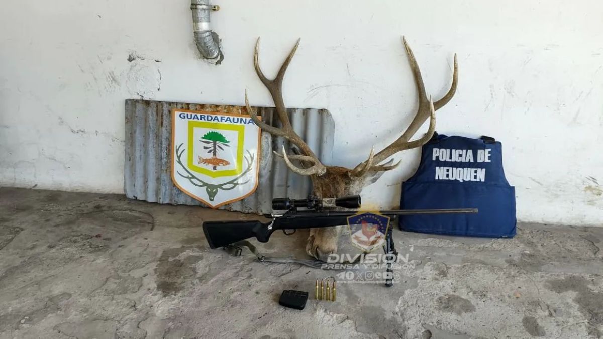 Villa Traful: Demoraron a un hombre por caza furtiva