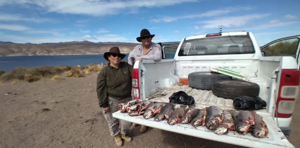 Infraccionan a pescadores furtivos en Alicurá 