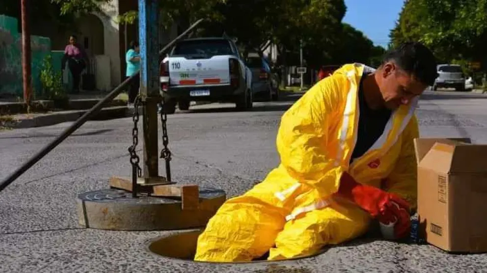 Río Negro no se encuentra entre las provincias de alto riesgo por Dengue