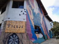 Fylgja: Un espacio cultural donde la música, el arte y la historia vikinga se entrelazan