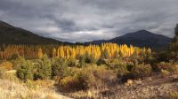 El otoño sigue pintando los paisajes en Bariloche
