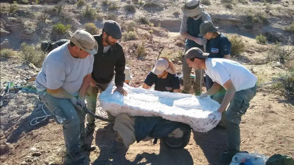 Descubren en Río Negro un dinosaurio que vivió hace 90 millones de años