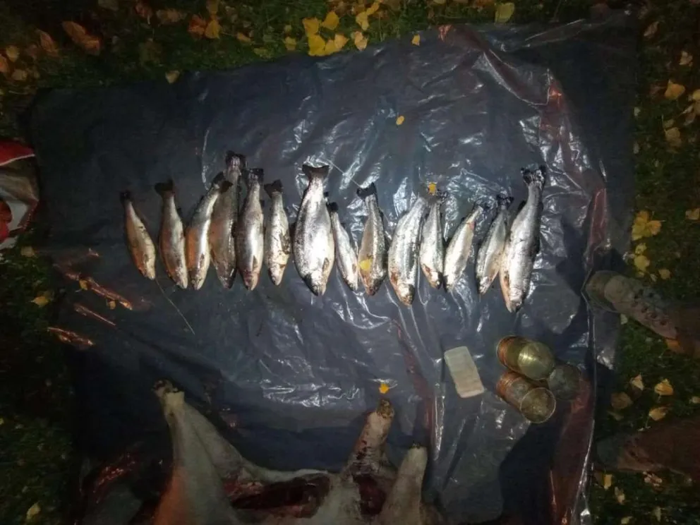 Realizaron un procedimiento por pesca y caza furtiva en la zona del Limay