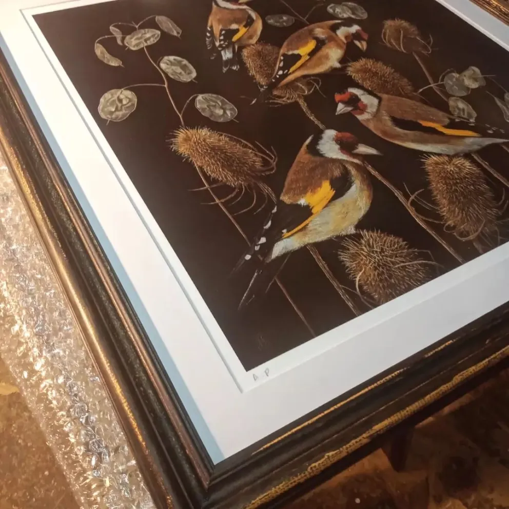 Apertura de Inscripción para el Taller Enmarcado de Cuadros – Nivel Inicial