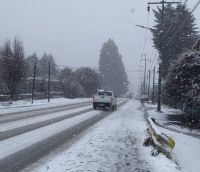 Continúan las nevadas en la región: cómo está la situación en este mediodía