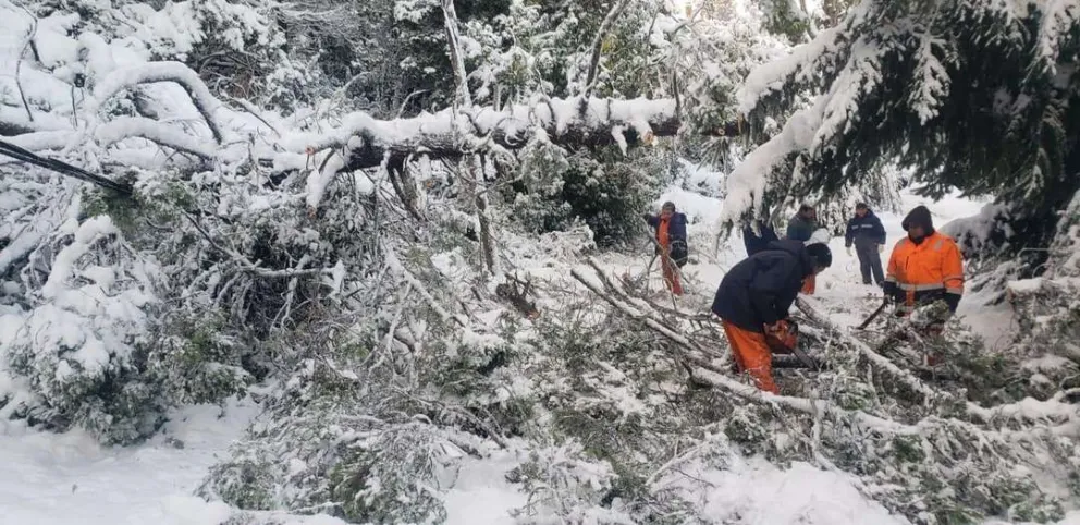 Por la cantidad de nieve acumulada cerraron el ingreso al Parque Municipal Llao Llao