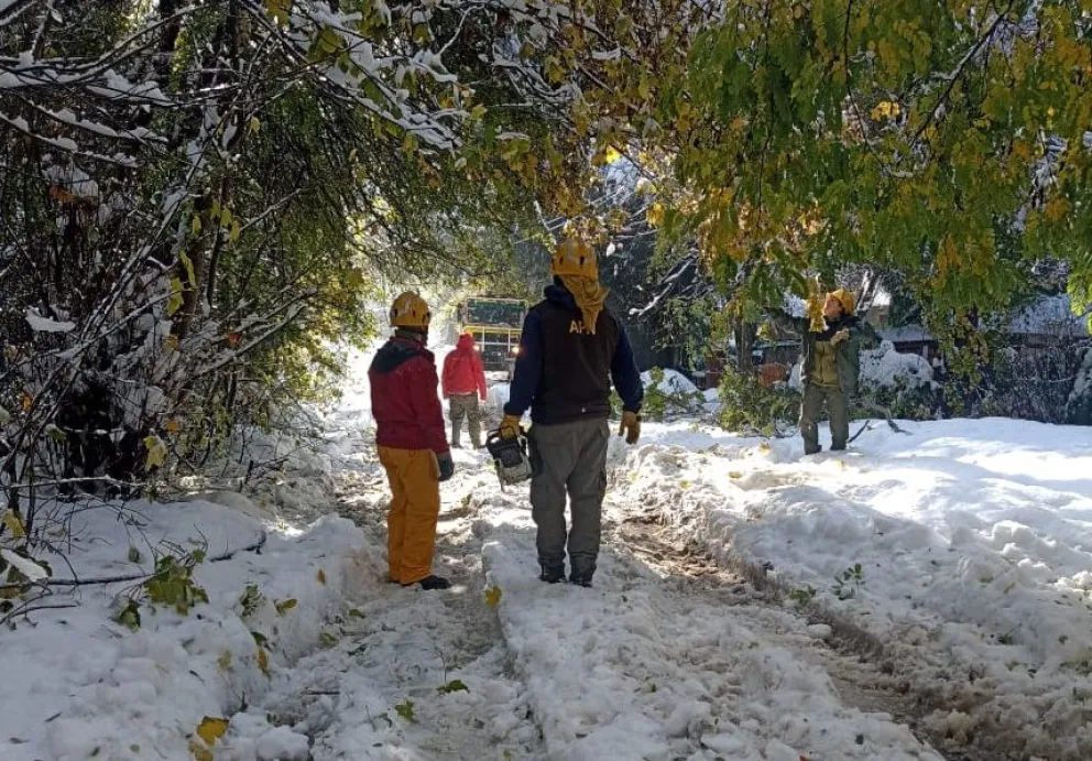 Delegación Catedral continúa los trabajos por la gran acumulación de nieve