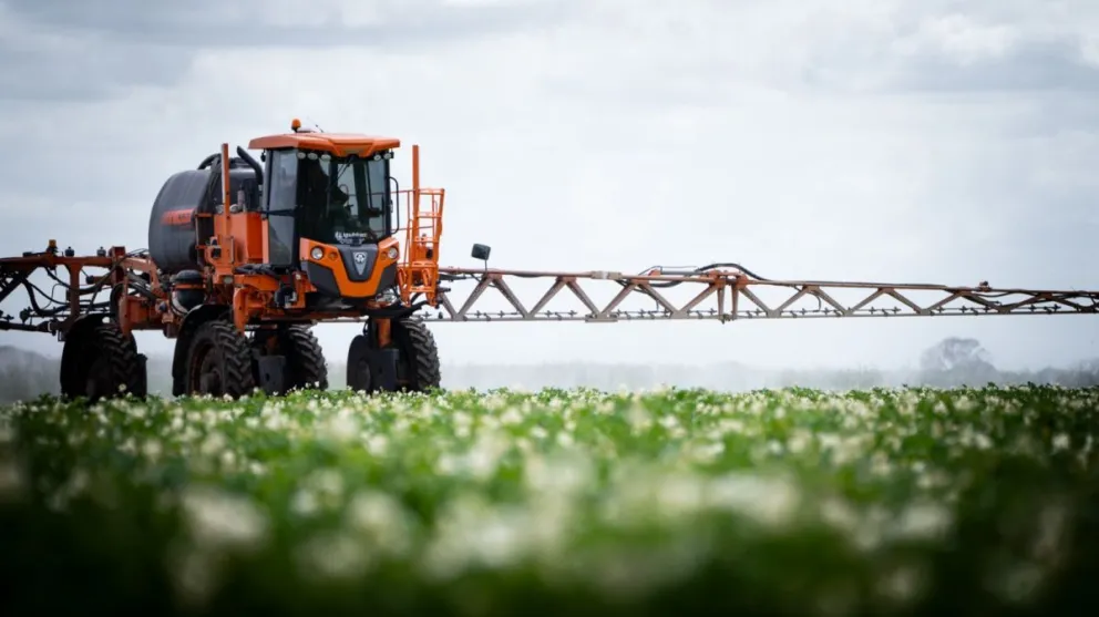 Del origen a la mesa: McDonald´s cuenta el origen de sus vegetales más frescos