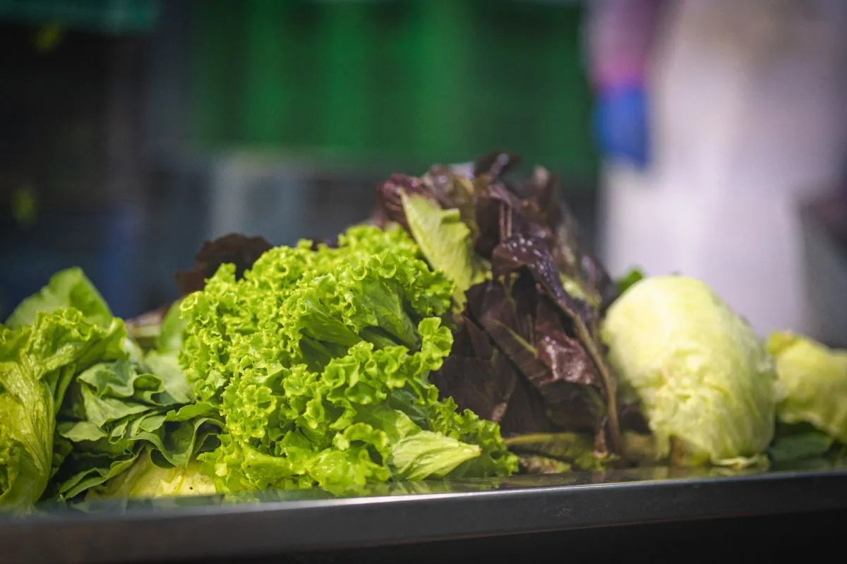 Del Origen A La Mesa: McDonald´s Cuenta El Origen De Sus Vegetales Más ...