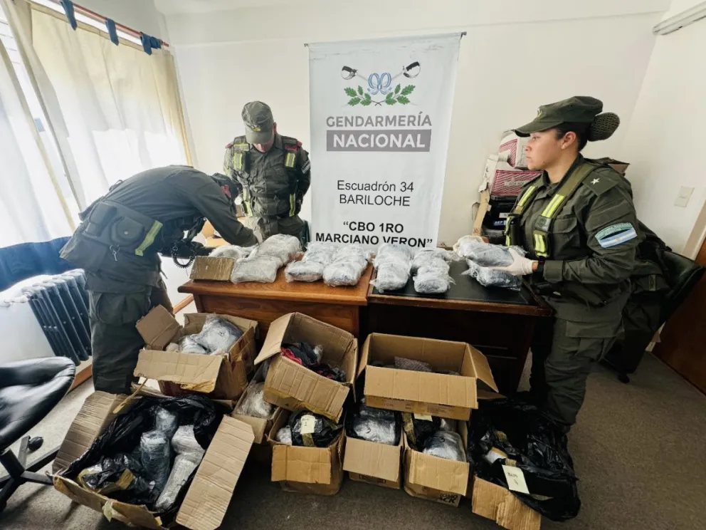 Detectan encomiendas con 44 kilos de marihuana en su interior: Un detenido