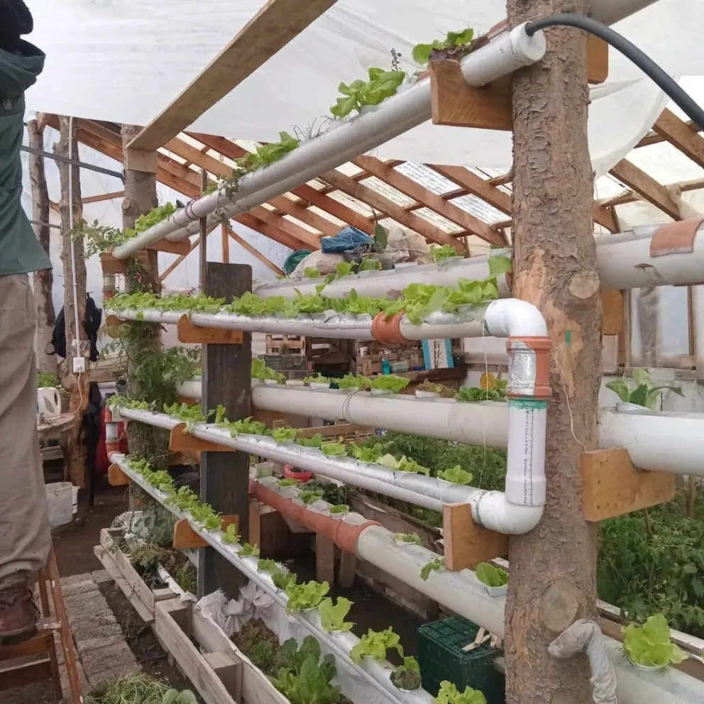 Se realizará un encuentro para emprendedores hidropónicos