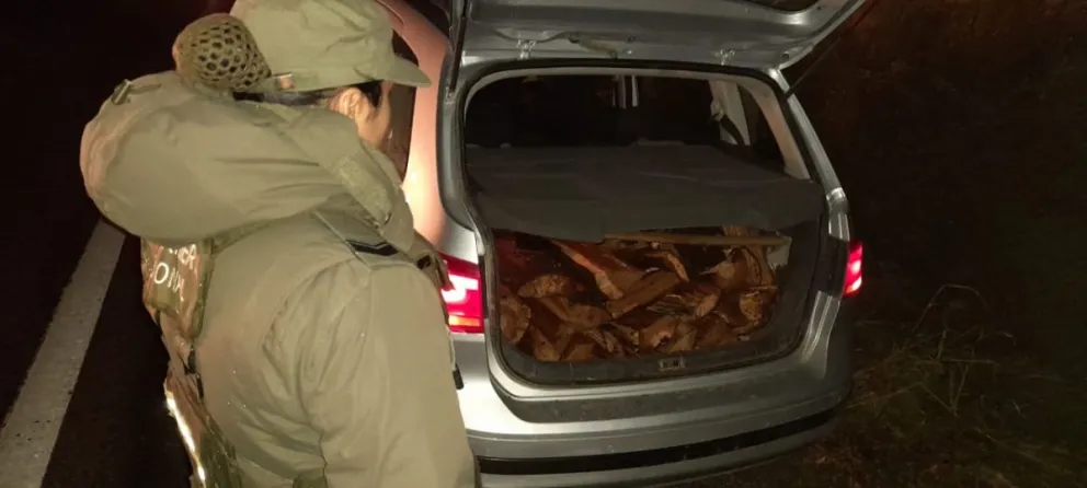 Operativos en el Parque Nacional Nahuel Huapi: Incautan leña y sancionan a turistas