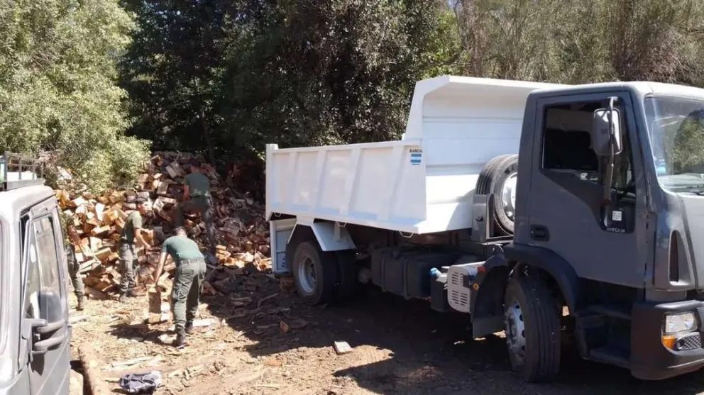 Río Negro avanza en una nueva política de gestión de Recursos Forestales