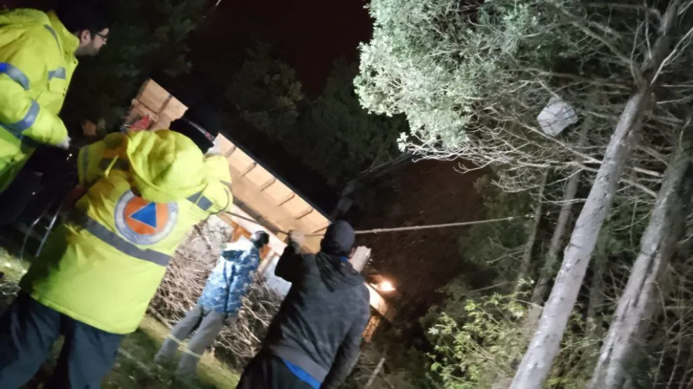 Derriban un árbol con peligro de derrumbe en el Faldeo