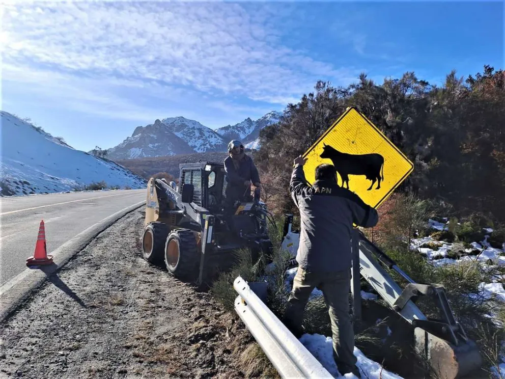 Colocan nuevo señalamiento vial sobre Ruta 40 entre Bariloche y El Bolsón