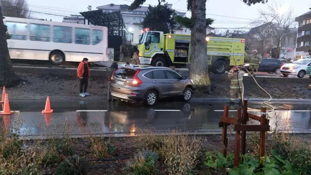 Una camioneta chocó contra un árbol en Costanera