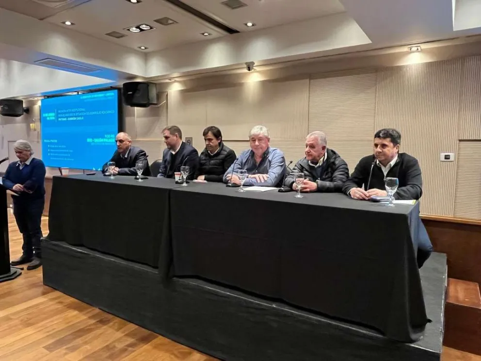 Analizaron en Bariloche la situación del Complejo Volcánico Puyehue