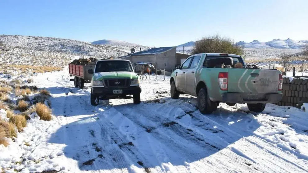 Mas de 2000 familias rionegrinas ya son asistidas por el Plan Calor Leña