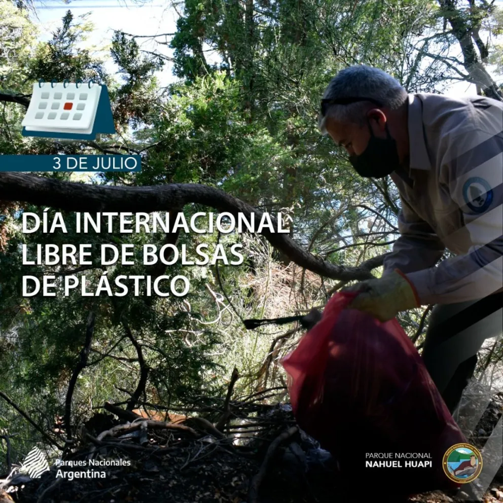 Hoy es el Día Internacional Libre de Bolsas de Plástico