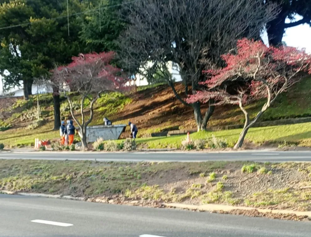 Precaución al transitar por avenida 12 de Octubre por trabajos de limpieza