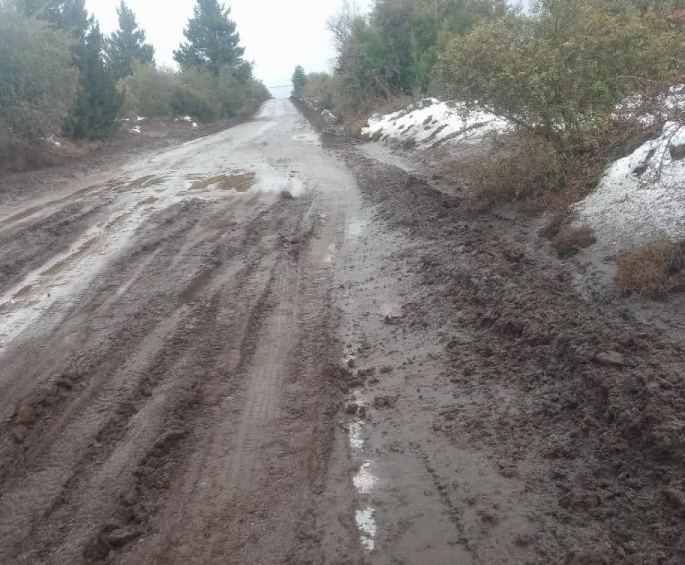 Estado de los caminos en el Parque Nacional Nahuel Huapi