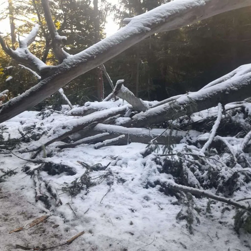 Coordinan trabajos de prevención en senderos municipales