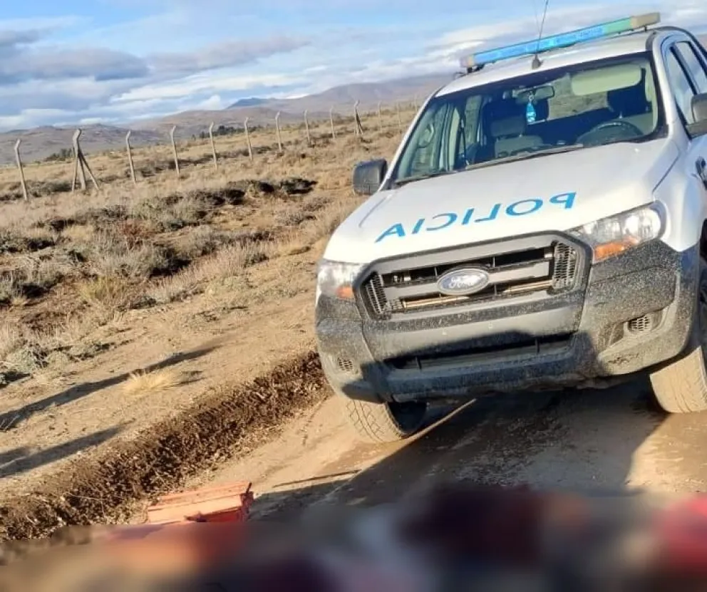 Detienen a cinco personas que transportaban un vacuno faenado y leña nativa