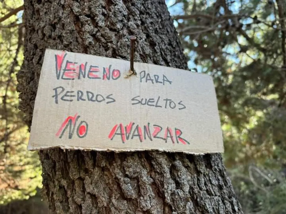 Denuncian posible envenenamiento de perros en senderos de Bariloche