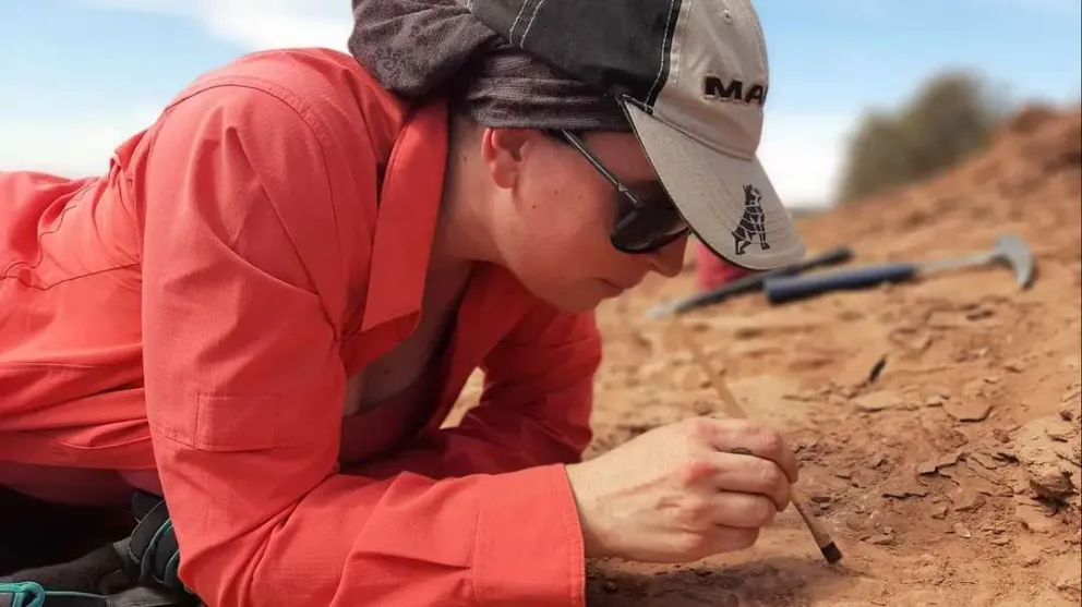 ¿Qué hacer en caso de encontrar restos paleontológicos o arqueológicos?