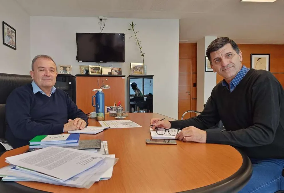 Hidroeléctricas: "Estamos entregando recursos a cambio de nada"