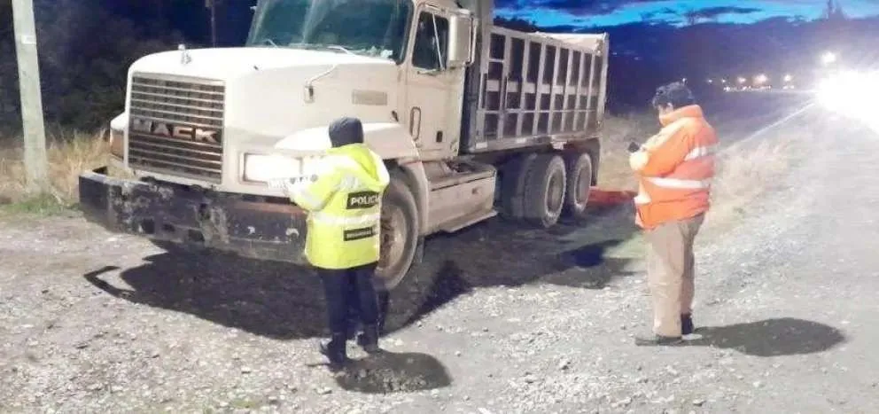 Secuestran camión con patentes falsas y documentación adulterada en Las Chacras