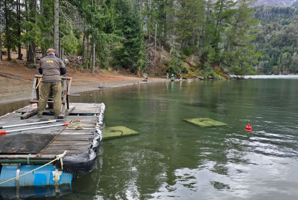 Se realizó un operativo para retirar boyas ilegales en el lago Nahuel Huapi