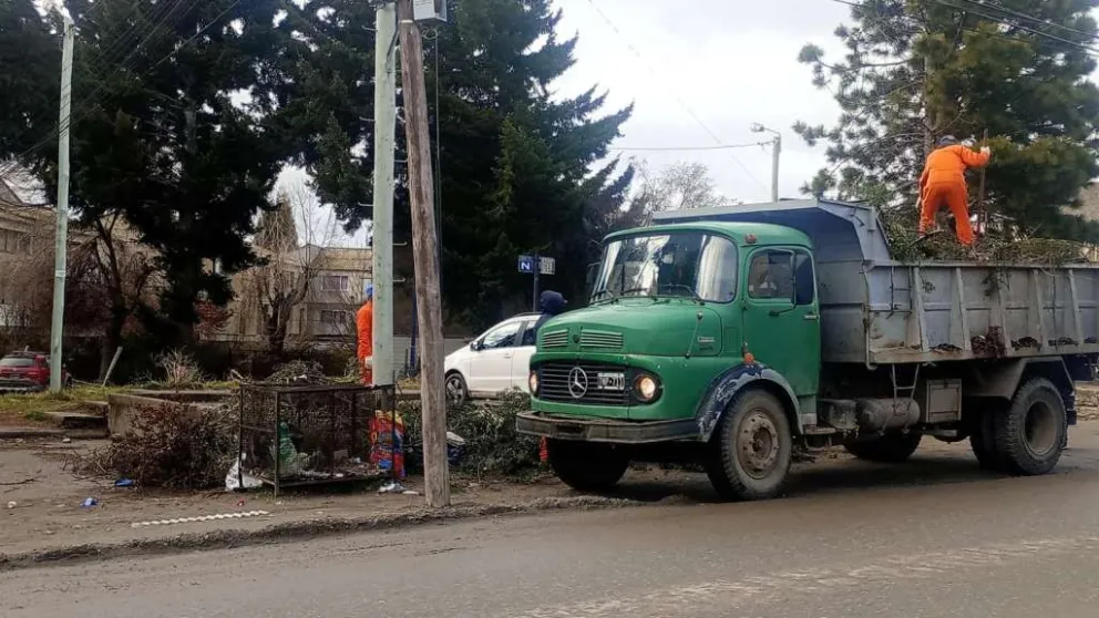 Convocan a jóvenes para entrenamiento laboral en recolección de residuos