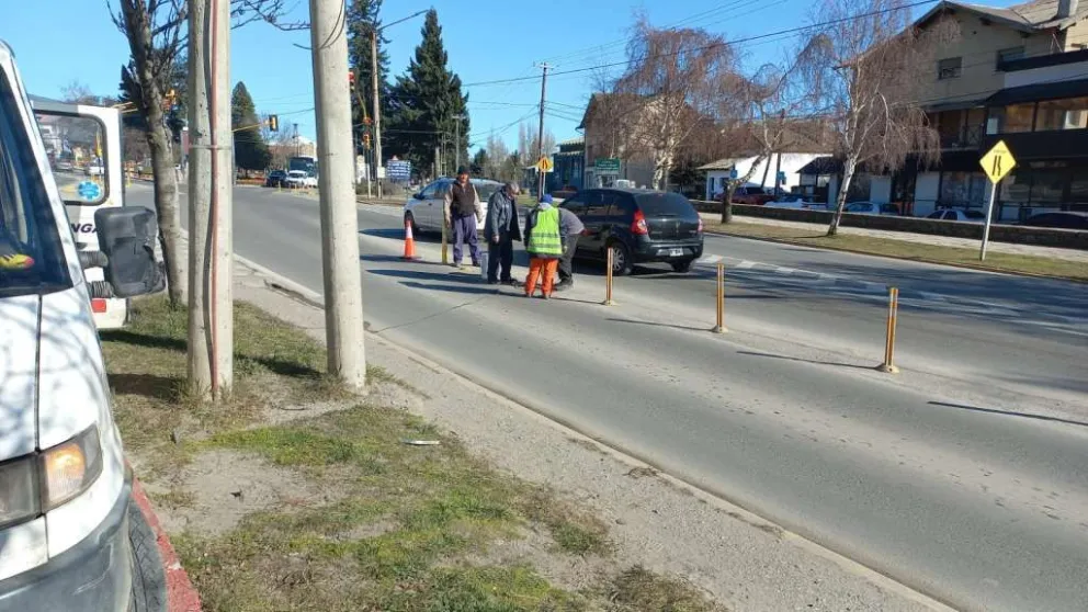 Realizan tareas de limpieza y cambio de pilotes de demarcación vial