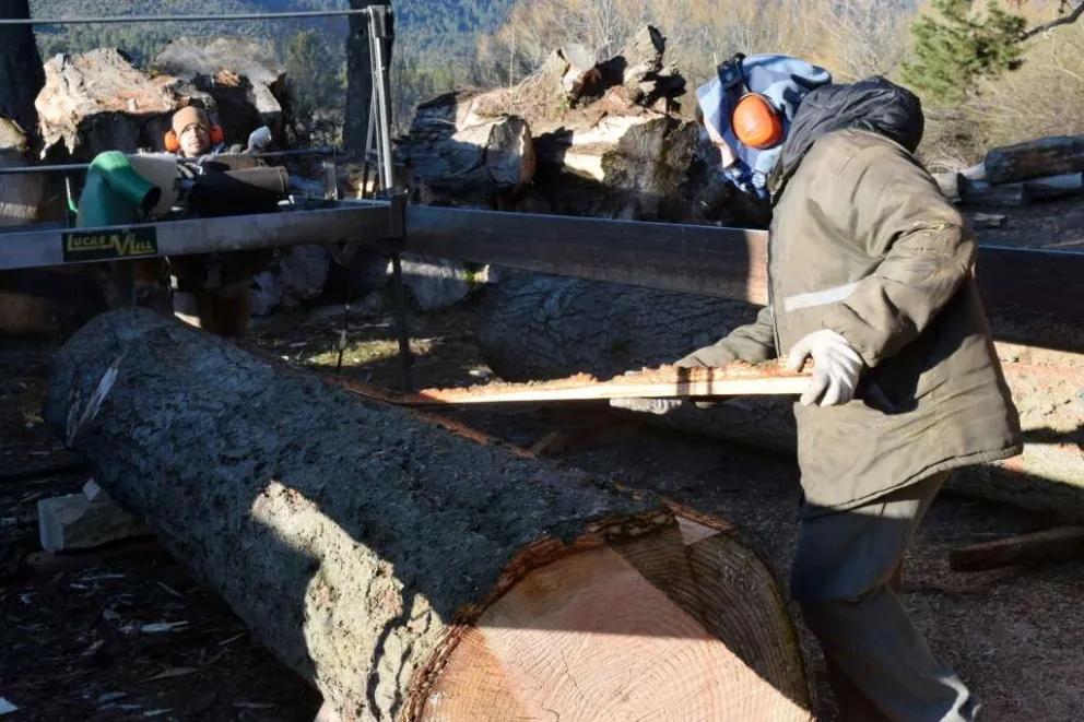 Vertedero: El Municipio colabora para construir el galpón de reciclado de plásticos