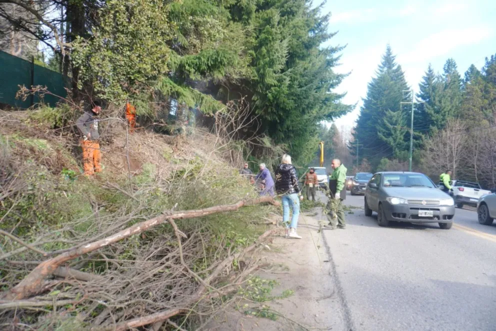 El municipio avanza con la construcción de bicisendas en la avenida Pioneros