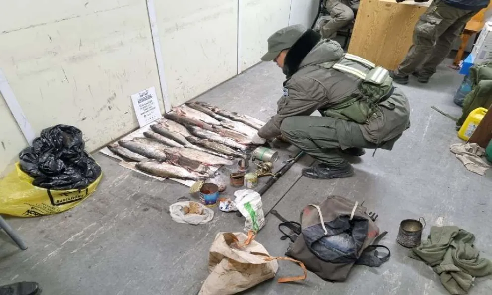 Gendarmería y Guardapescas decomisan 70 truchas en operativos de control en Río Negro