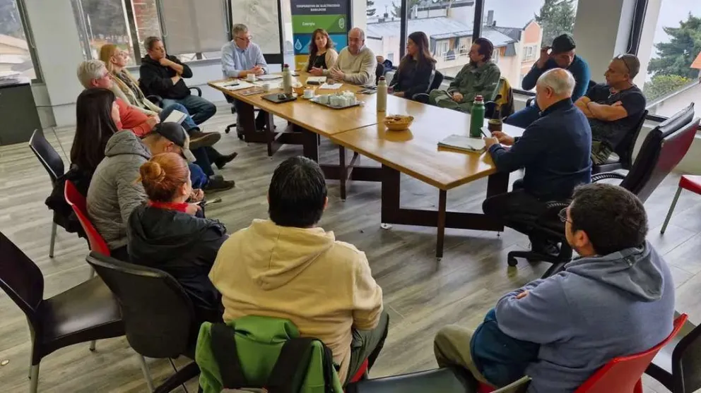 Coordinan acciones para mejorar el servicio eléctrico en Bariloche