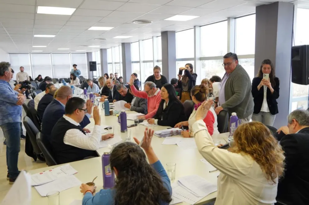 Avanzan en la Legislatura tres proyectos sobre cultura, educación y patrimonio en Río Negro