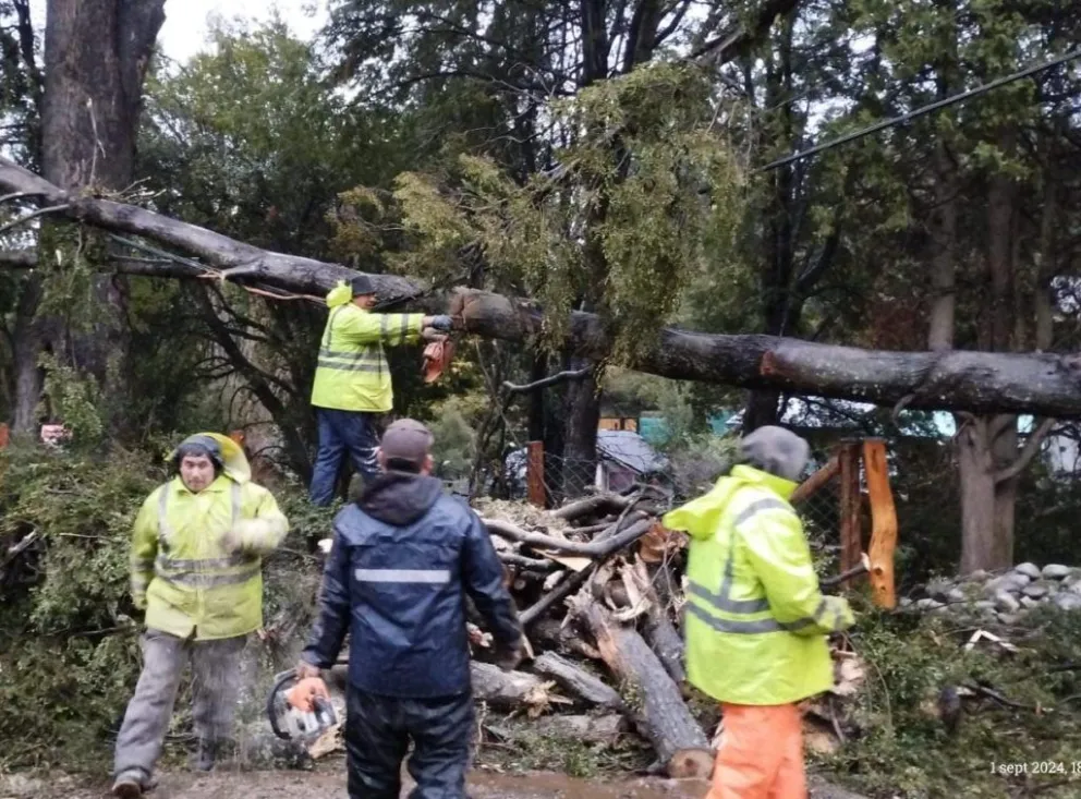 Las delegaciones municipales trabajaron en emergencias este domingo