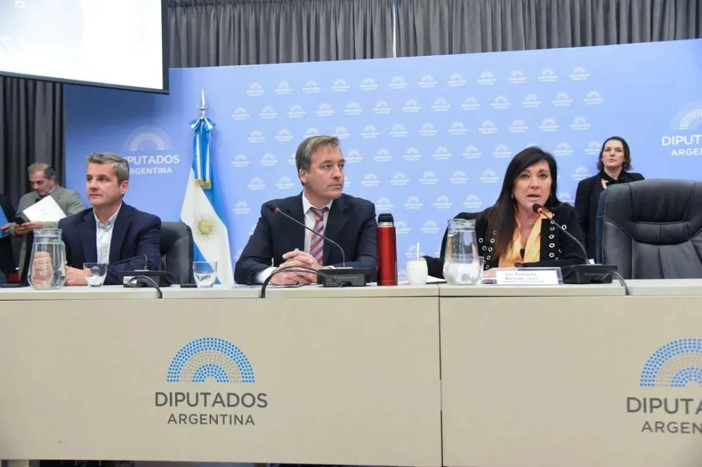 Especialistas expusieron en Diputados sobre la baja de la edad de imputabilidad