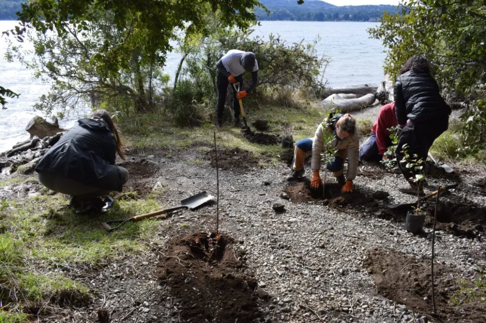 Plantación de nativas y extracción de especies exóticas invasoras