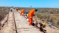 Tren Patagónico ya trabaja en la renovación entre Viedma y San Antonio Oeste