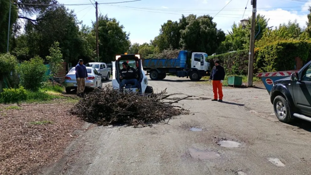 Realizaron trabajos de desmalezamiento en Pájaro Azul y Nahuel Malal