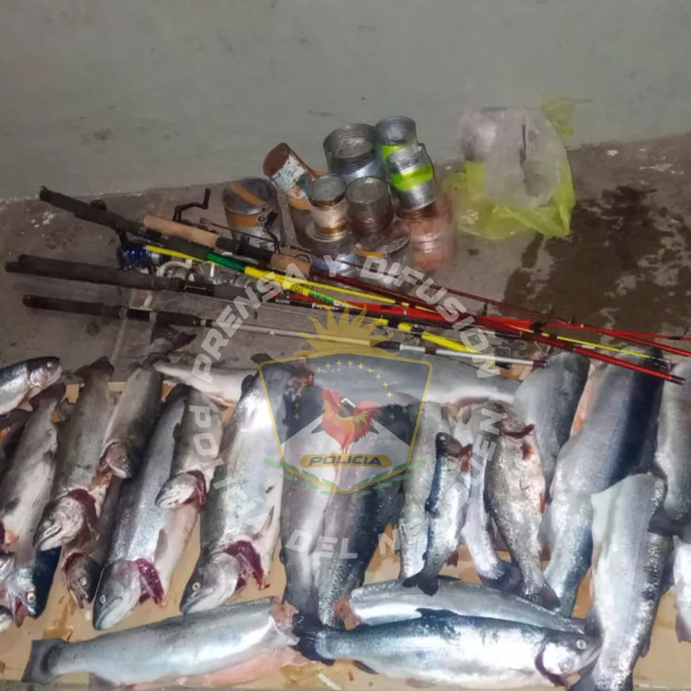 Decomisaron más de 30 truchas por pesca furtiva en Siete Lagos